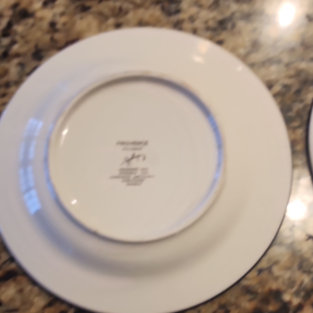 Colorful Decorative Plates Set - Picture 4 of 7